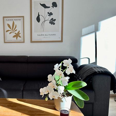 Modernes Zwei-Zimmer-Apartment Chemnitz - Kassberg Extérieur photo